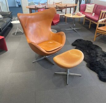 {{brizy_dc_image_alt entityId=